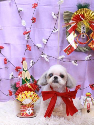 20230113HANAちゃん